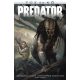 Tűz és Kő: Predator /Aliens és Predator 4. (képregény) (Joshua Williamson)