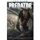 Tűz és Kő: Predator /Aliens és Predator 4. (képregény) (Joshua Williamson)