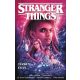 Stranger Things: Tűzben égve - Jody Houser - Ryan Kelly