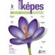 Nagy ​képes német-magyar szótár