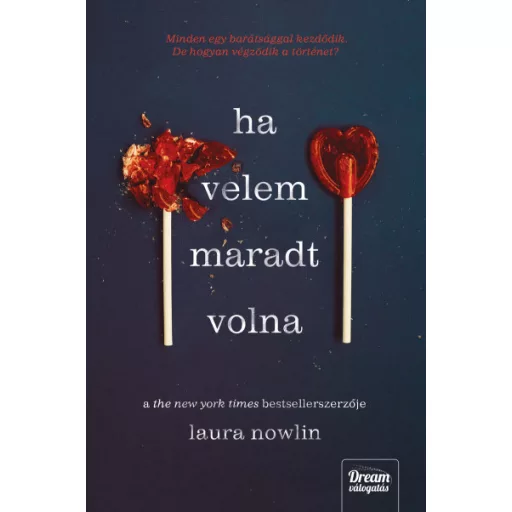 Ha velem maradt volna - Laura Nowlin