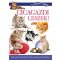 Cicagazdi leszek!