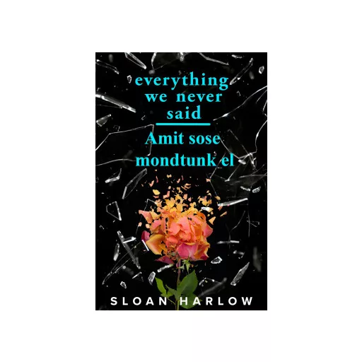 Everything We Never Said - Amit sose mondtunk el - Sloan Harlow