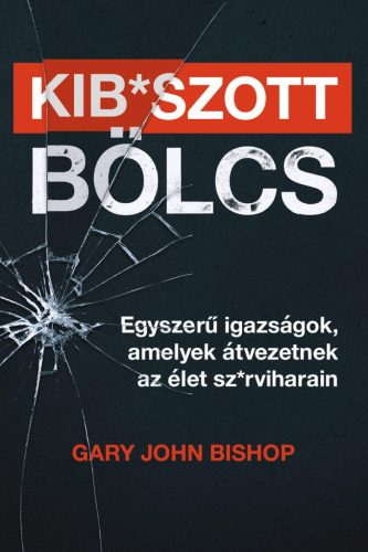 Kibszott bölcs - Egyszerű igazságok, amelyek átvezetnek az élet szrviharain - Gary John Bishop