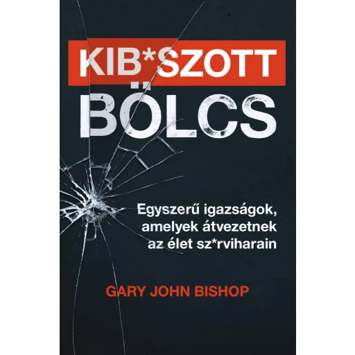 Kibszott bölcs - Egyszerű igazságok, amelyek átvezetnek az élet szrviharain - Gary John Bishop