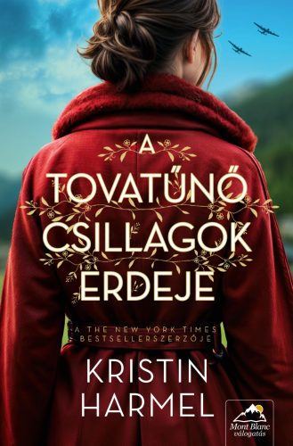 A tovatűnő csillagok erdeje - Kristin Harmel