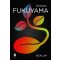 Bizalom - Francis Fukuyama