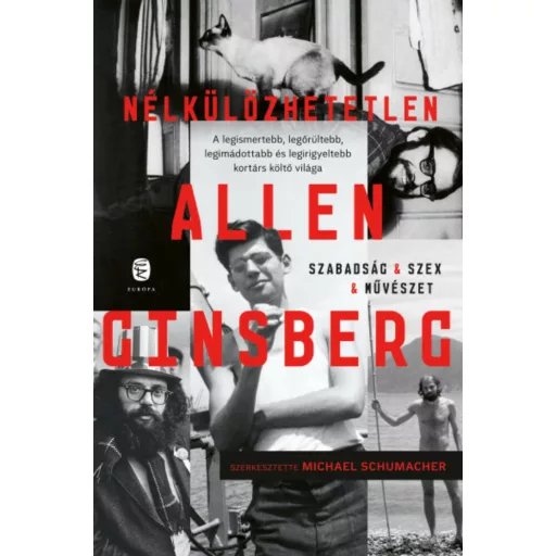 Nélkülözhetetlen Allen Ginsberg - Allen Ginsberg