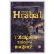 Túlságosan zajos magány - Bohumil Hrabal