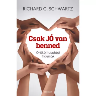 Csak jó van benned - Richard C. Schwartz