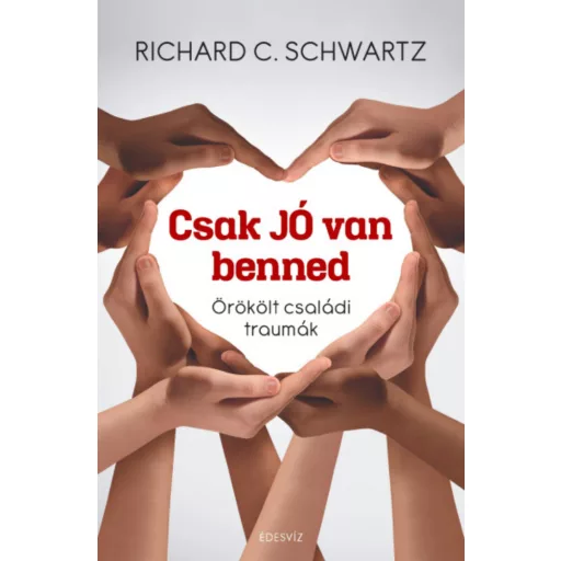 Csak jó van benned - Richard C. Schwartz