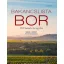 Bakancslista - Bor - 1000 kaland a bor jegyében - Simon J. Woolf
