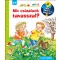 Mit csinálunk tavasszal? - Mit? Miért? Hogyan? - Andrea Erne