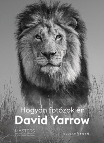 Hogyan fotózok én - David Yarrow