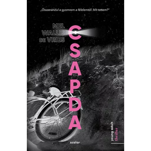 Csapda - Mel Wallis de Vries