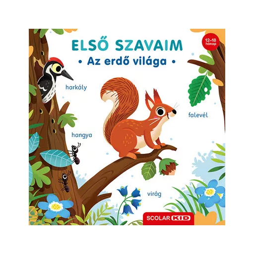 Első szavaim - Az erdő világa - Cornelia Frank