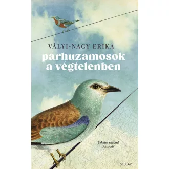 Párhuzamosok a végtelenben - Vályi-Nagy Erika