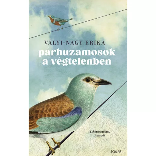 Párhuzamosok a végtelenben - Vályi-Nagy Erika