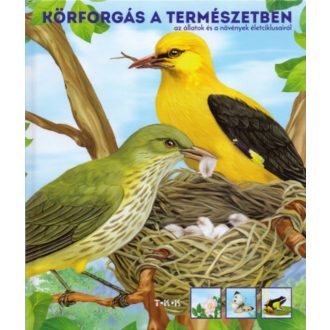 Körforgás a természetben ()