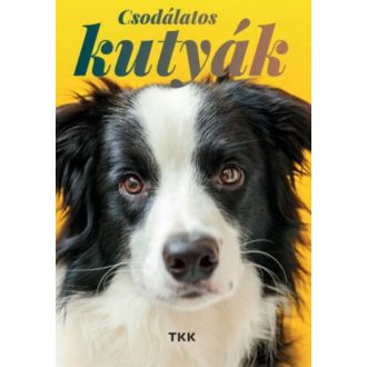 Csodálatos kutyák