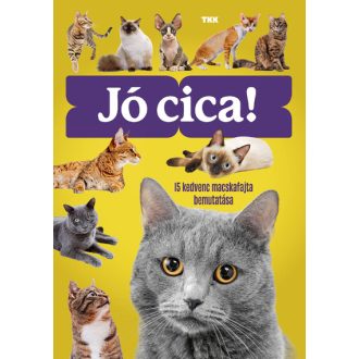   Jó cica! - 15 kedvenc macskafajta bemutatása - György Magdolna