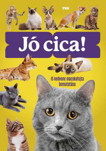 Jó cica! - 15 kedvenc macskafajta bemutatása - György Magdolna