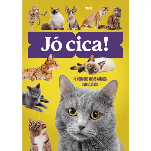 Jó cica! - 15 kedvenc macskafajta bemutatása - György Magdolna