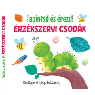 Érzékszervi csodák - Tapintsd és érezd!