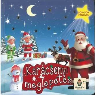 A karácsonyi meglepetés sok-sok fénnyel - TKK lapozó