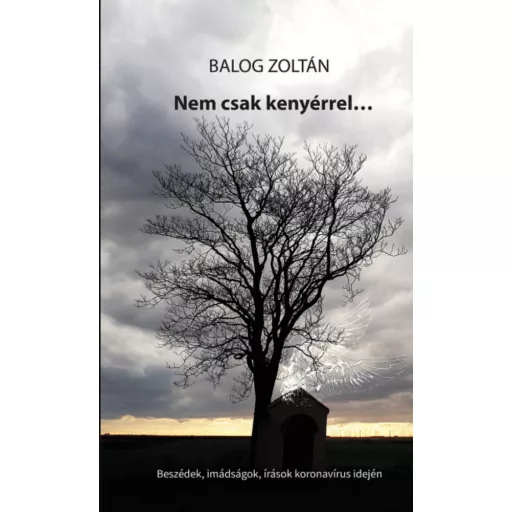 Nem csak kenyérrel... - Balog Zoltán