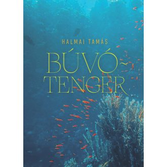 Búvótenger - Esszék, kritikák, olvasatok - Halmai Tamás