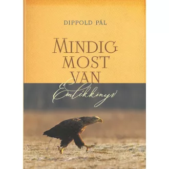Mindig most van - Dippold Pál