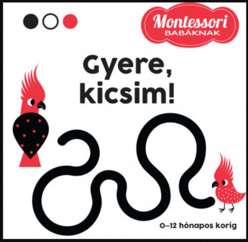 Gyere, kicsim! - Montessori babáknak