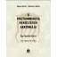 A posztkommunista rendszerek anatómiája - Madlovics Bálint - Magyar Bálint