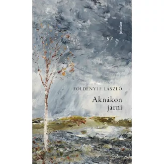 Aknákon járni - Földényi F. László