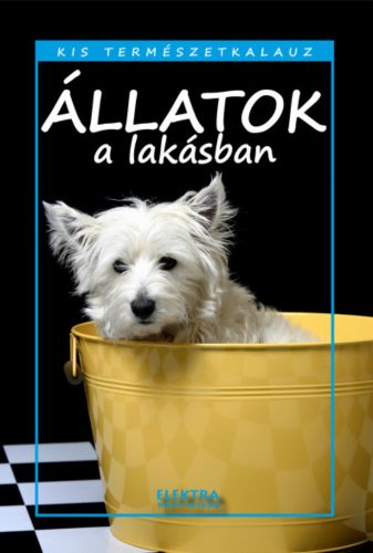 Állatok a lakásban - Bernáth István