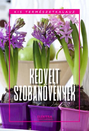 Kedvelt szobanövények - Bernáth István