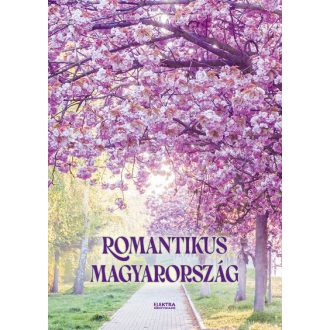 Romantikus Magyarország - Bernáth István
