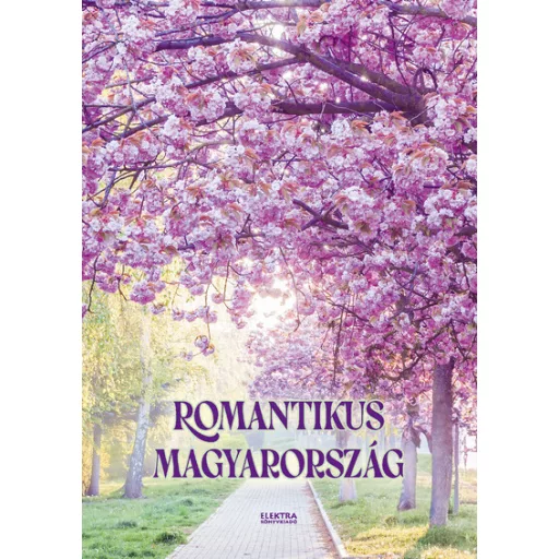 Romantikus Magyarország - Bernáth István