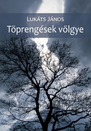 Töprengések völgye - Lukáts János