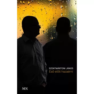 Eső előtt hazaérni - Szentmártoni János