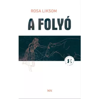 A Folyó - Rejtőzködő Európa - Rosa Liksom