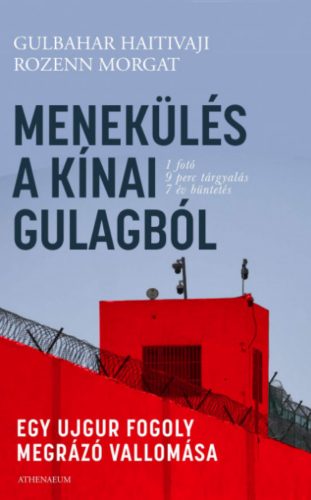Menekülés a kínai Gulagból - Gulbahar Haitivaji - Rozenn Morgat