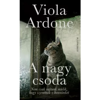 A nagy csoda - Viola Ardone