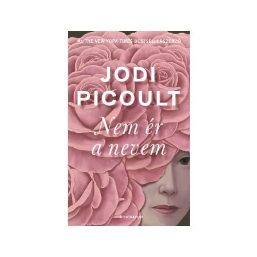 Nem ér a nevem - Jodi Picoult
