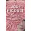 Nem ér a nevem - Jodi Picoult