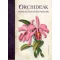 Orchideák, rózsák és egyéb virágok - Lucrecia Pérsico Lamas