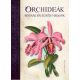 Orchideák, rózsák és egyéb virágok - Lucrecia Pérsico Lamas