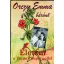 Életem a Vörös Pimpernellel - Orczy Emma Bárónő