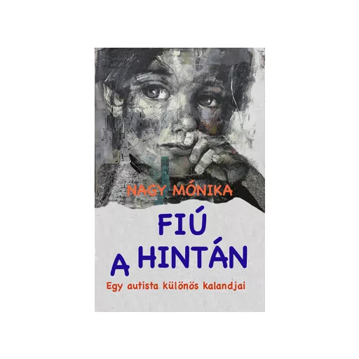 Fiú a hintán - Egy autista különös kalandjai - Nagy Mónika